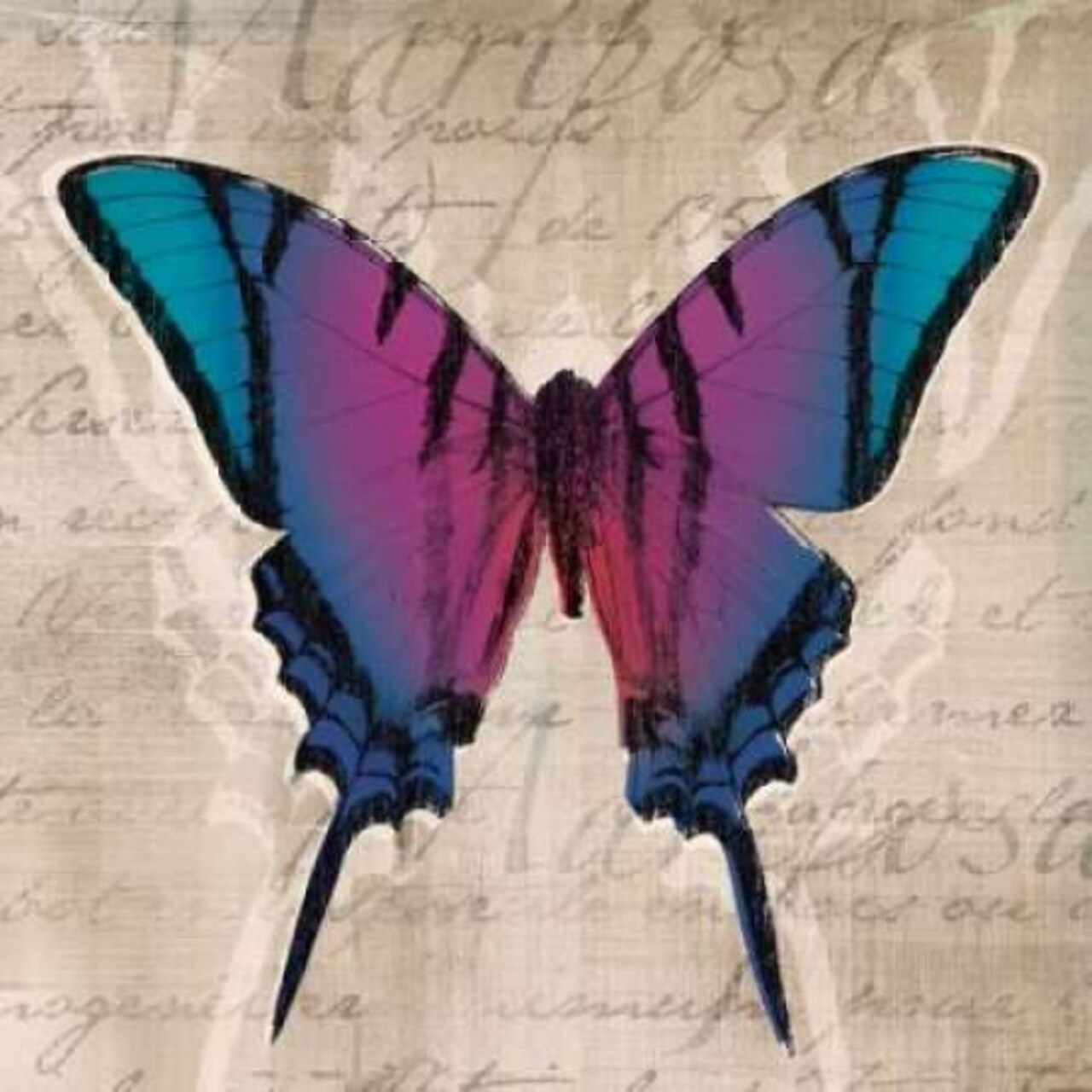 Butterflies IV Poster Print by Tandi Venter - Item # VARPDX18105